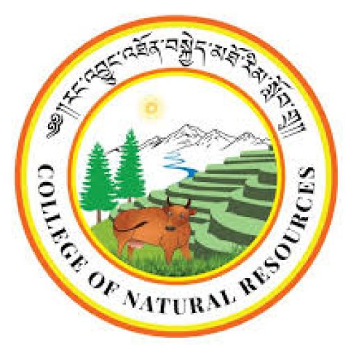 Department of Sustainable Development